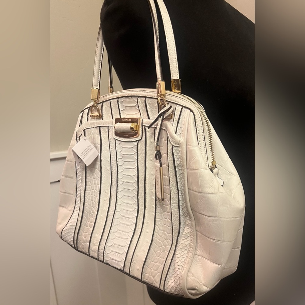 Rare Find- NWT Coach Madison Domed Satchel in Exotic Stripe Leather - Picture 2 of 13